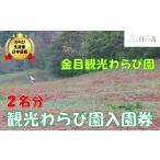 金目観光わらび園入園券 2名様分