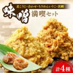 味噌 瀬戸内みそ2種 おかずみそ2種