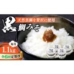 味噌 黒鯛みそ1120g