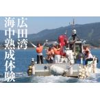 広田湾 体験1名様RT895