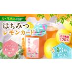 はちみつ 檸檬の初恋3本