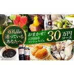 コンシェルジュ20万円 コンシェルジュ