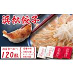 ふるさと納税 浜松餃子 120粒 2種味くらべ（定番の味60粒、スタミナ60粒）総重量2.4kg！ 静岡県浜松市