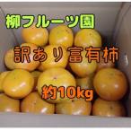 柿-商品画像