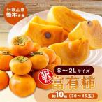 柿 柳フルーツ園 訳あり 富有柿 約10kg_果物