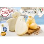 カチョカヴァロ Caciocavallo 500g