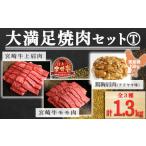 牛肉 焼肉 バーベキュー 鶏肉 大満足焼肉Tセット
