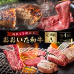 おおいた和牛 定期便A_B163-010【牛 牛肉 和牛 おおいた和牛 セット