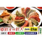 ふるさと納税 年間100万個完売！【4種餃子48個詰合せ】餃子の餃天 秋田県秋田市