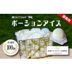 ポーションアイス 搾りたてミルク味 100個×55ml