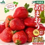 博多あまおうG250g×6パック JAふくおか八女