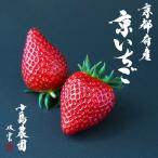 京いちご 約1kg