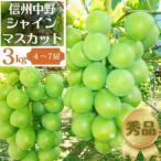 ふるさと納税 長野県中野市産ぶどう・シャインマスカット秀品 3kg箱 4〜7房入り【配送不可地域：離島】【1494261】 長野県中野市