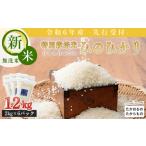 2024年産 令和6年産 きりしまのゆめ