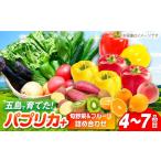 パプリカと旬の野菜 フルーツ詰め合わせ