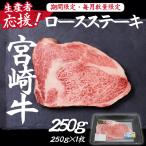 宮崎牛ロースステーキ250g 宮崎牛 牛肉