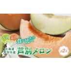 ふるさと納税 メロン 赤肉 青肉 2玉 食べ比べ セット 詰め合わせ 芦別メロン 計2.8kg以上 北海道 芦別市 アールスメロン 果物 果物類 フルーツ .. 北海道芦別市