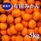 紀州 有田みかん 5kg