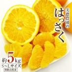 美濃農園のはっさく 約5kg