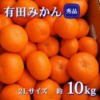 農家直送 有田みかん 約10kg