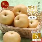 ふるさと納税 【南信州産】梨「南水」秀品約5kg(8玉〜16玉)<2025年9月中旬より発送> 長野県高森町