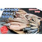 干物 銚子地魚セット ほぎほぎ 魚種おまかせ 約20枚