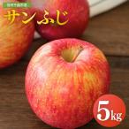りんご サンふじ 約5kg