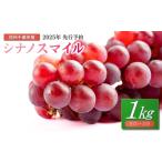 ふるさと納税 【2025年先行予約】ぶどう シナノスマイル 約1kg 2~3房 |ぶどう ぶどう ぶどう ぶどう ぶどう ぶどう 長野県千曲市