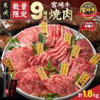 宮崎牛9種盛り焼肉セット 各600g×3P