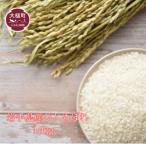 ふるさと納税  【令和7