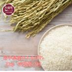 ふるさと納税 【定期