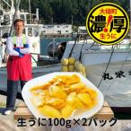 ふるさと納税 三陸産生うに100g×2パック【令和8年6月発送】【配送日指定不可】【35】 岩手県大槌町