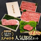 和牛 部位セット 1.32kg