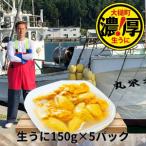 三陸産生うに150g×5パック