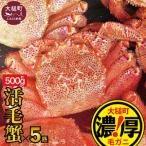 三陸産 活毛ガニ 500g×5杯