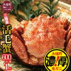 三陸産 活毛ガニ600g×1杯