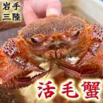 fu.... налог [. мир 8 год отправка ] Iwate три суша производство [. шерсть .]| 400g×2[2026 год 2 месяц ~4 месяц отправка ] свежий. высшее | шерсть .. шерсть краб Iwate префектура большой молоток блок 