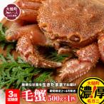 三陸産 活毛ガニ 500g相当×1杯