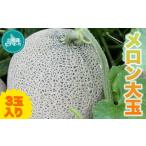 ふるさと納税 【先行予約!2026年7月以降発送】メロン大玉3玉入り 【 ふるさと納税 人気 おすすめ ランキング メロン 穂別メロン 赤肉メロン .. 北海道むかわ町