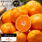 小玉中生みかん 5kg