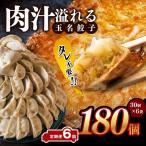 玉名餃子 180個