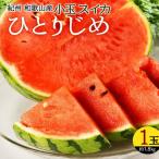 スイカ 紀州和歌山産小玉スイカ ひとりじめ 1玉