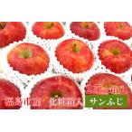 ふるさと納税 No.1357 りんご「サンふじ」約2.5kg箱入【2025年度発送】 福島県福島市