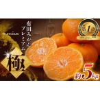ふるさと納税 【みかん 約5kg】 【先行予約】 \光センサー選別/極 有田みかんプレミアム 約5kg【光センサー 高糖度選別品】2S〜Lサイズ 有機.. 和歌山県新宮市