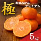 みかん 有田みかんプレミアム 約5kg