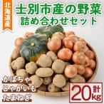 野菜 詰め合わせ 20kg