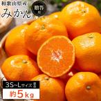 糖度 12.5度以上 秀品 みかん 5kg