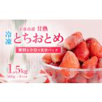 いちご 冷凍 訳あり 1.5kg
