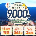 LOCOPAYデジタル返礼ポイント _B167-001