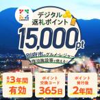 LOCOPAYデジタル返礼ポイント _B167-003